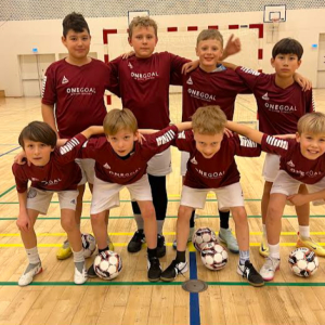 Volleyball for alle voksne